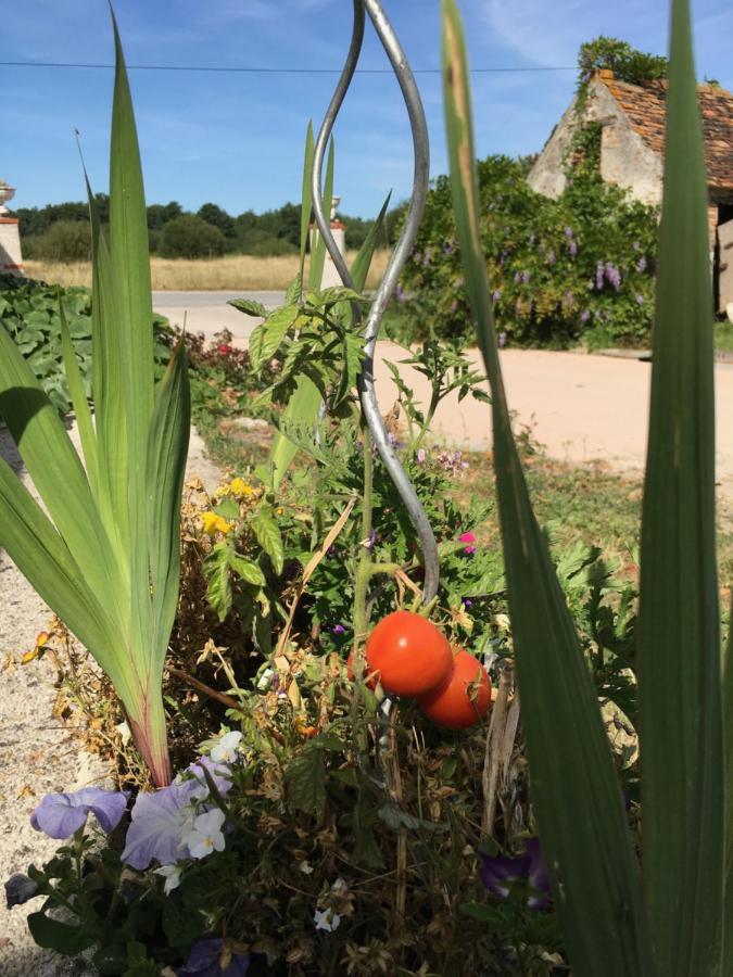 La Ferme De La Maugerie Panzió Thoury Kültér fotó